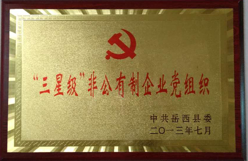 “三星级”非公有制企业党组织