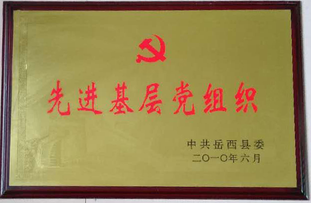 先进基层党组织
